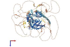 SYNGAP1 Protein (AA 1-1340) (His tag)