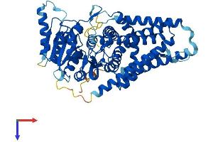 HAS3 Protein (AA 1-553) (His tag)