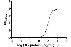 Measured by its binding ability in a functional ELISA.
