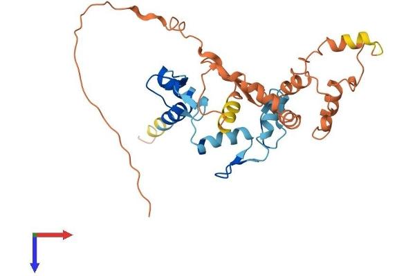 ZFP42 Protein (AA 1-310) (His tag)