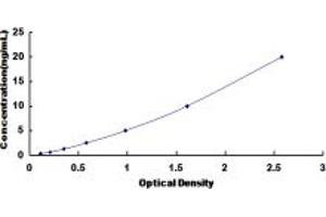 Typical standard curve (PLCz1 ELISA Kit)