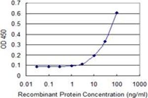 Detection limit for recombinant GST tagged LIPG is 3 ng/ml as a capture antibody. (LIPG Antikörper  (AA 21-500))