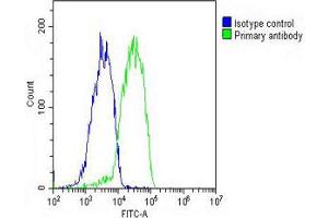 Overlay histogram showing HepG2 cells stained with Antibody (green line). (LGR5 Antikörper  (AA 689-719))