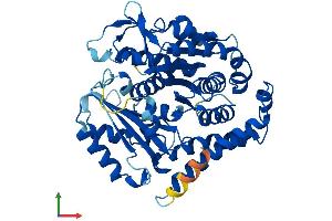 Protein Structure (PS) image for Tubulin, beta 2A (TUBB2A) (AA 1-445) protein (His tag) (ABIN7558215)