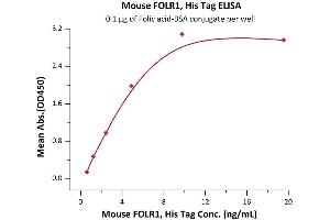 Immobilized Folic acid-BSA conjugate at 1 μg/mL (100 μL/well) can bind Mouse FOLR1, His Tag (ABIN5526656,ABIN5526657) with a linear range of 0. (FOLR1 Protein (AA 25-232) (His tag))