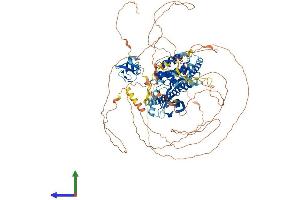 Protein Structure (PS) image for Mitogen-Activated Protein Kinase Kinase Kinase MLK4 (KIAA1804) (AA 1-1002) protein (His tag) (ABIN7564744)