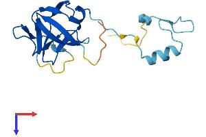 HERVK_113 (AA 1-156) protein (His tag)
