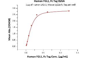 Immobilized Human LAG-3, Mouse IgG2a Fc Tag (ABIN5674633,ABIN6253716) at 10 μg/mL (100 μL/well) can bind Human FGL1, Fc Tag (ABIN6923182,ABIN6938833) with a linear range of 0.