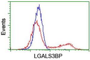 HEK293T cells transfected with either RC204918 overexpress plasmid (Red) or empty vector control plasmid (Blue) were immunostained by anti-LGALS3BP antibody (ABIN2454972), and then analyzed by flow cytometry. (LGALS3BP Antikörper  (AA 19-300))