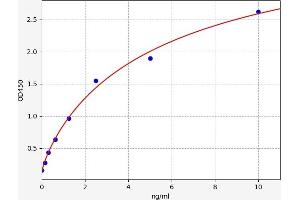 Parkinson Protein 7 (PARK7) ELISA Kit