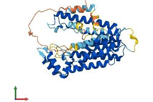 Protein Structure (PS) image for Prenyl (Decaprenyl) Diphosphate Synthase, Subunit 2 (PDSS2) (AA 1-399) protein (His tag) (ABIN7547092)