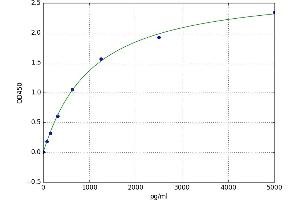 Galactosylceramidase (GALC) ELISA Kit
