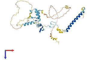 ATXN7L3 Protein (AA 1-347) (His tag)
