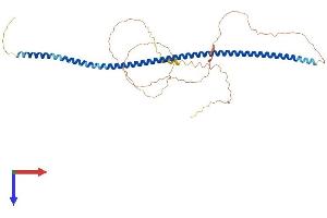 GOLM1 Protein (AA 1-393) (His tag)