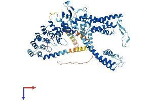 TRPV5 Protein (AA 1-723) (His tag)
