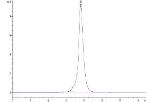 Size-exclusion chromatography-High Pressure Liquid Chromatography (SEC-HPLC) image for Platelet/endothelial Cell Adhesion Molecule (PECAM1) (AA 28-602) protein (His tag) (ABIN7274126)