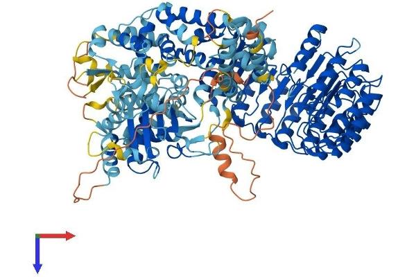 NLRP12 Protein (AA 1-1054) (His tag)