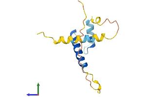Protein Structure (PS) image for Inhibitor of DNA Binding 3, Dominant Negative Helix-Loop-Helix Protein (ID3) (AA 1-119) protein (His tag) (ABIN7563220)