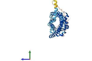 Protein Structure (PS) image for Chemokine (C-C Motif) Receptor 3 (CCR3) (AA 1-355) protein (His tag) (ABIN7553106)