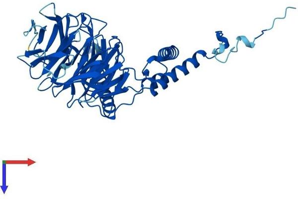 DCAF13 Protein (AA 1-445) (His tag)