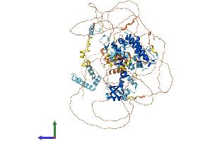 Protein Structure (PS) image for Large Proline-Rich Protein BAT3 (BAT3) (AA 1-1132) protein (His tag) (ABIN7552510)