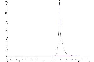 Size-exclusion chromatography-High Pressure Liquid Chromatography (SEC-HPLC) image for beta-2-Microglobulin (B2M) (AA 21-119) protein (Fc Tag) (ABIN7273890)