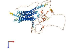 GPR162 Protein (AA 1-588) (His tag)