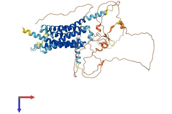GPR162 Protein (AA 1-588) (His tag)