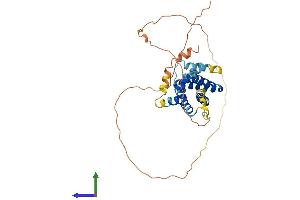 Protein Structure (PS) image for Induced Myeloid Leukemia Cell Differentiation Protein Mcl-1 (MCL1) (AA 1-331) protein (His tag) (ABIN7556772)