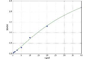 N-Myc Downstream Regulated 1 (NDRG1) ELISA Kit