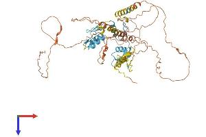 IKZF1 Protein (AA 1-519) (His tag)