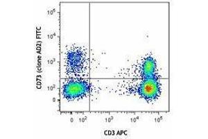 Flow Cytometry (FACS) image for anti-5'-Nucleotidase, Ecto (CD73) (NT5E) antibody (FITC) (ABIN2661418) (CD73 Antikörper  (FITC))