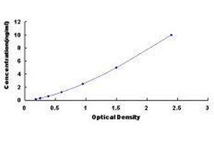 Kinesin Family Member 1A (KIF1A) ELISA Kit