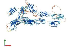 Protein Structure (PS) image for Myosin Binding Protein C, Cardiac (MYBPC3) (AA 1-1274) protein (His tag) (ABIN7554651)