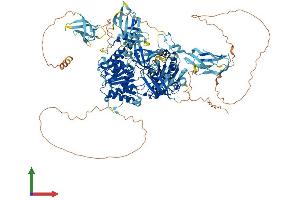 Protein Structure (PS) image for Mov10l1, Moloney Leukemia Virus 10-Like 1 (MOV10L1) (AA 1-1211) protein (His tag) (ABIN7554455)