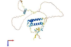 SERTAD2 Protein (AA 1-314) (His tag)