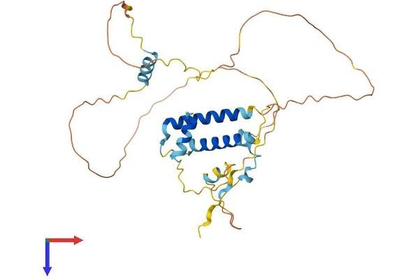 SERTAD2 Protein (AA 1-314) (His tag)