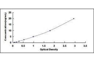 ELISA image for Tumor Susceptibility Gene 101 (TSG101) ELISA Kit (ABIN418484)