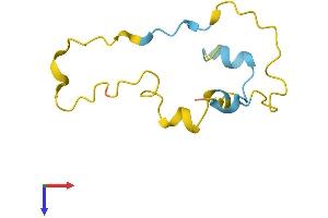 PDE6G Protein (AA 1-87) (Fc Tag)