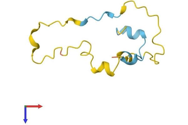 PDE6G Protein (AA 1-87) (Fc Tag)