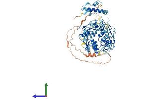 Protein Structure (PS) image for Zinc Finger Protein 540 (ZNF540) (AA 1-660) protein (His tag) (ABIN7545333)