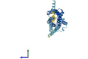 Protein Structure (PS) image for Pyrimidinergic Receptor P2Y, G-Protein Coupled, 6 (P2RY6) (AA 1-328) protein (His tag) (ABIN7550272)