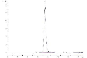 The purity of Mouse CD48/SLAMF2 is greater than 95 % as determined by SEC-HPLC. (CD48 Protein (CD48) (AA 23-216) (Fc Tag))