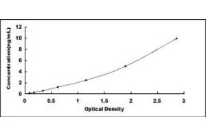 RALBP1 ELISA Kit