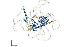 Protein Structure (PS) image for Neuronal PAS Domain Protein 2 (NPAS2) (AA 1-824) protein (His tag) (ABIN7554785)