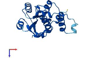 TPRKB Protein (AA 1-175) (His tag)