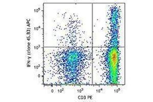 Flow Cytometry (FACS) image for anti-Interferon gamma (IFNG) antibody (APC) (ABIN2658764) (Interferon gamma Antikörper  (APC))