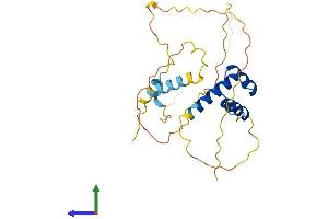 AlphaFold protein structure predicition of Mouse Recombinant Nkx6-3 Protein, UniprotID Q3UHX8 (NK6 Homeobox 3 Protein (NKX6-3) (AA 1-262) (His tag))