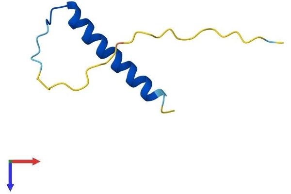 PCP4 Protein (AA 1-62) (Fc Tag)