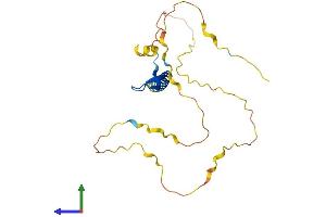 Protein Structure (PS) image for B-Cell CLL/lymphoma 7C (BCL7C) (AA 1-217) protein (His tag) (ABIN7552577)